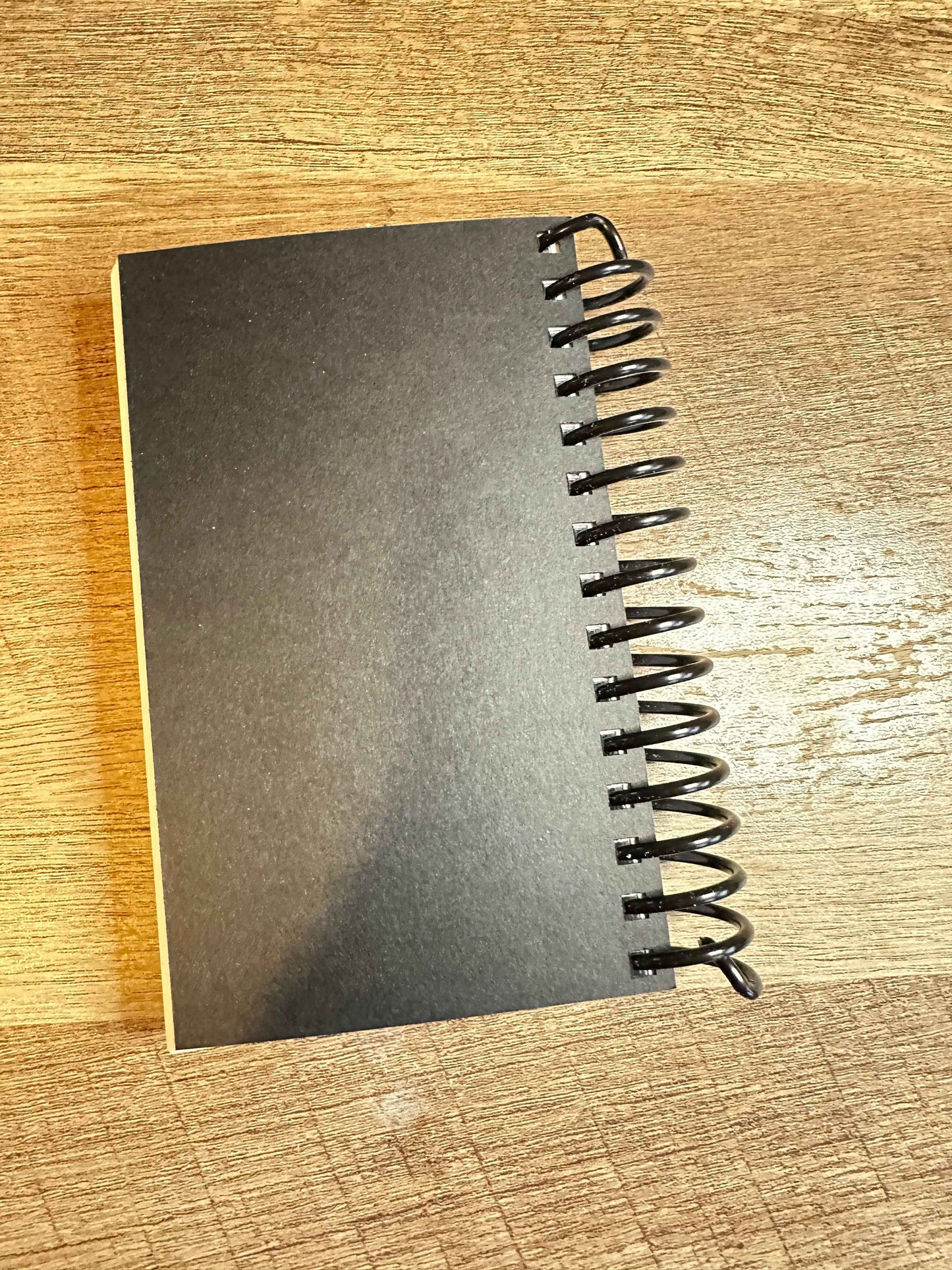 PeeWee and Chairy Mini Notebook