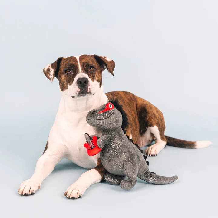 PetShop by Fringe Studio Rocker Rex Plush Dog Toy