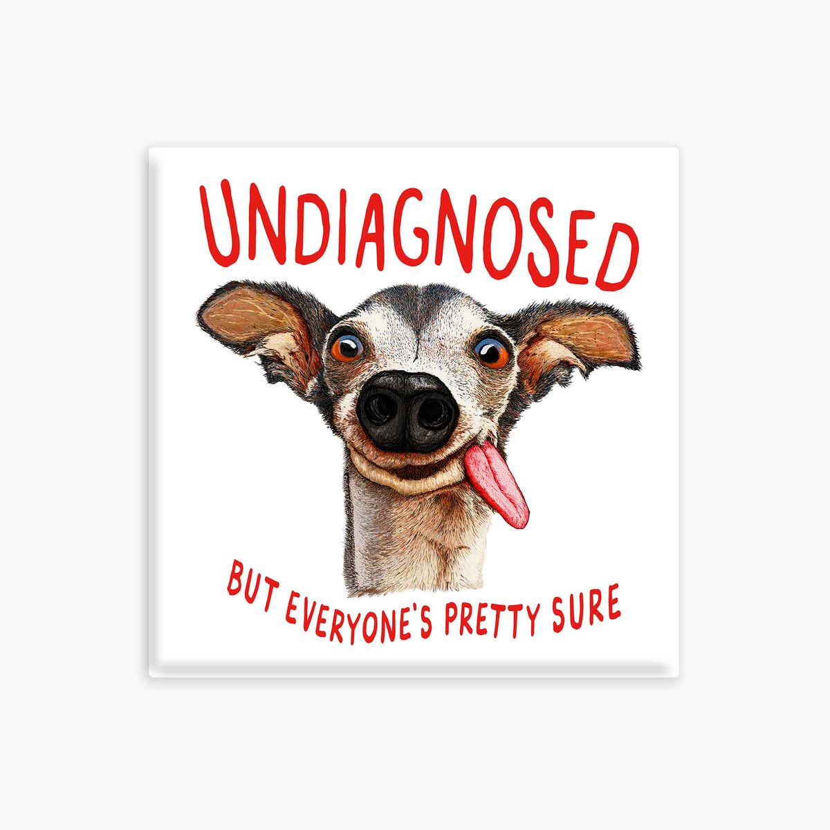 Undiagnosed - Magnet