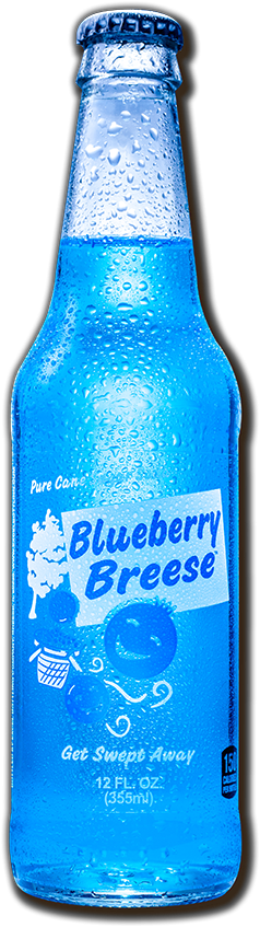 Excel Blueberry Breese 12oz Glass Bottle 12ct