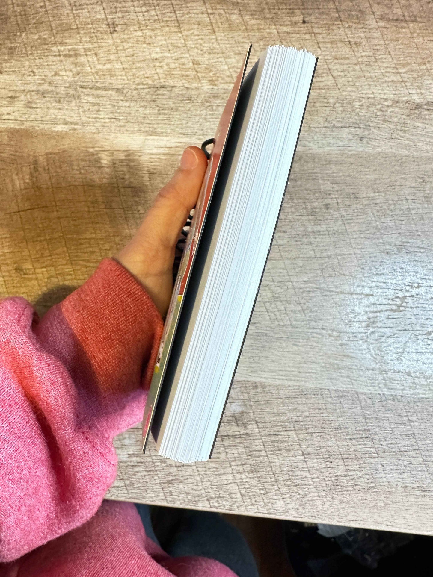 PeeWee and Chairy Mini Notebook