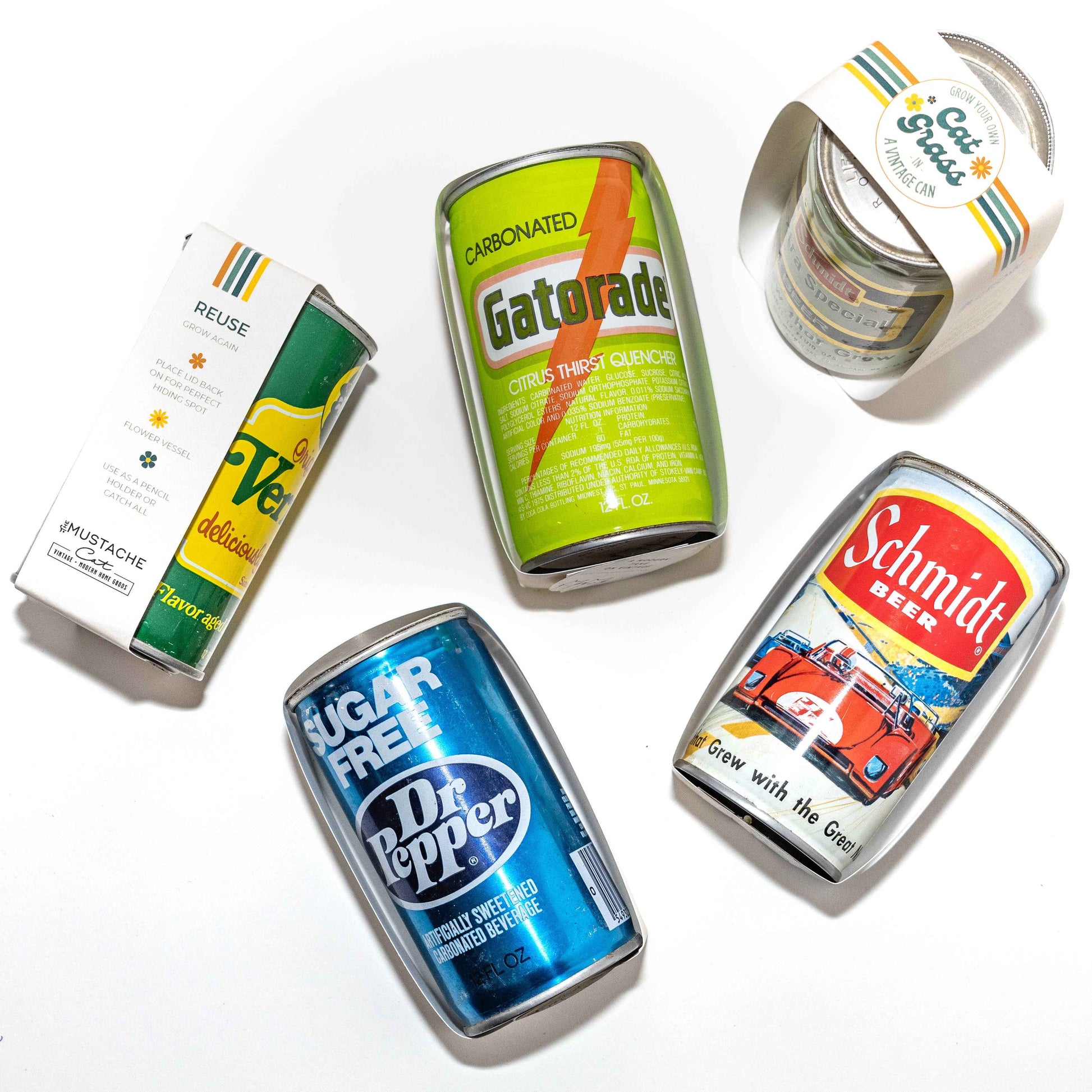 Cat Grass -In- A Vintage Can