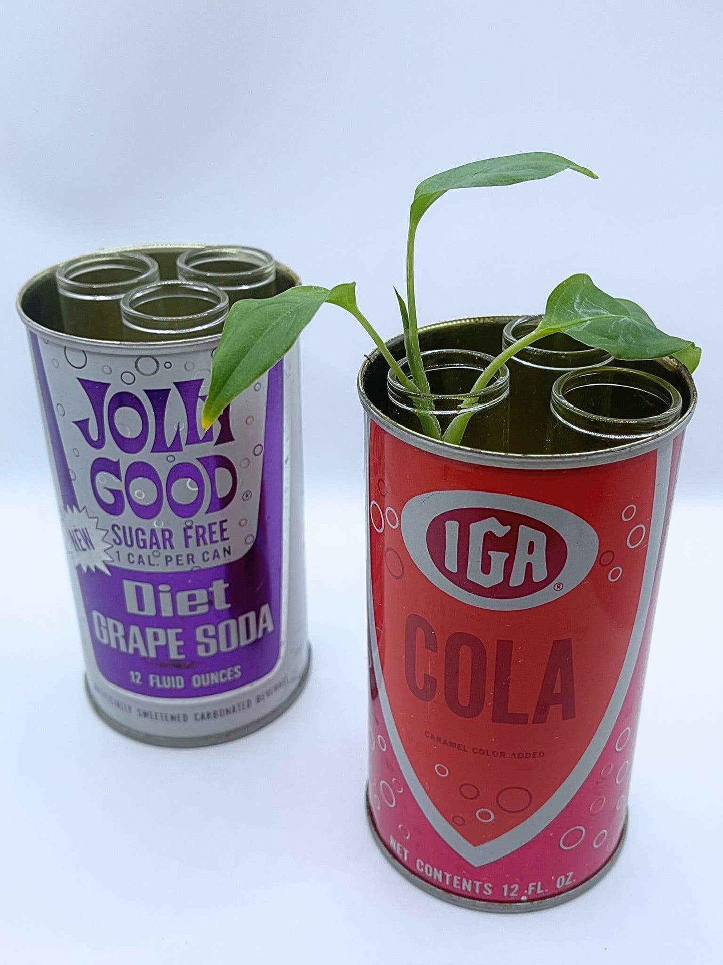 Plant Propagation Station/Bud Vase in a Vintage Can
