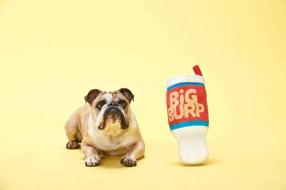 BARK Big Burp Slurp