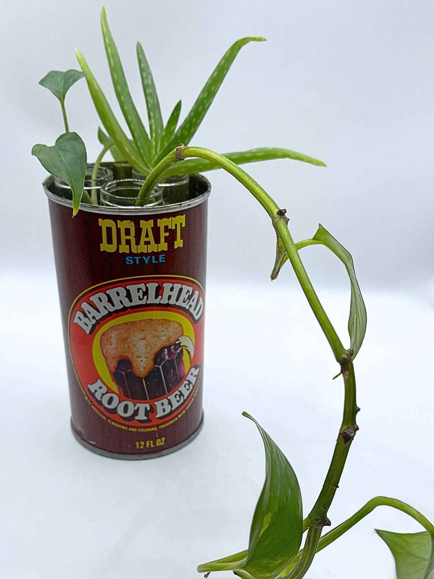Plant Propagation Station/Bud Vase in a Vintage Can