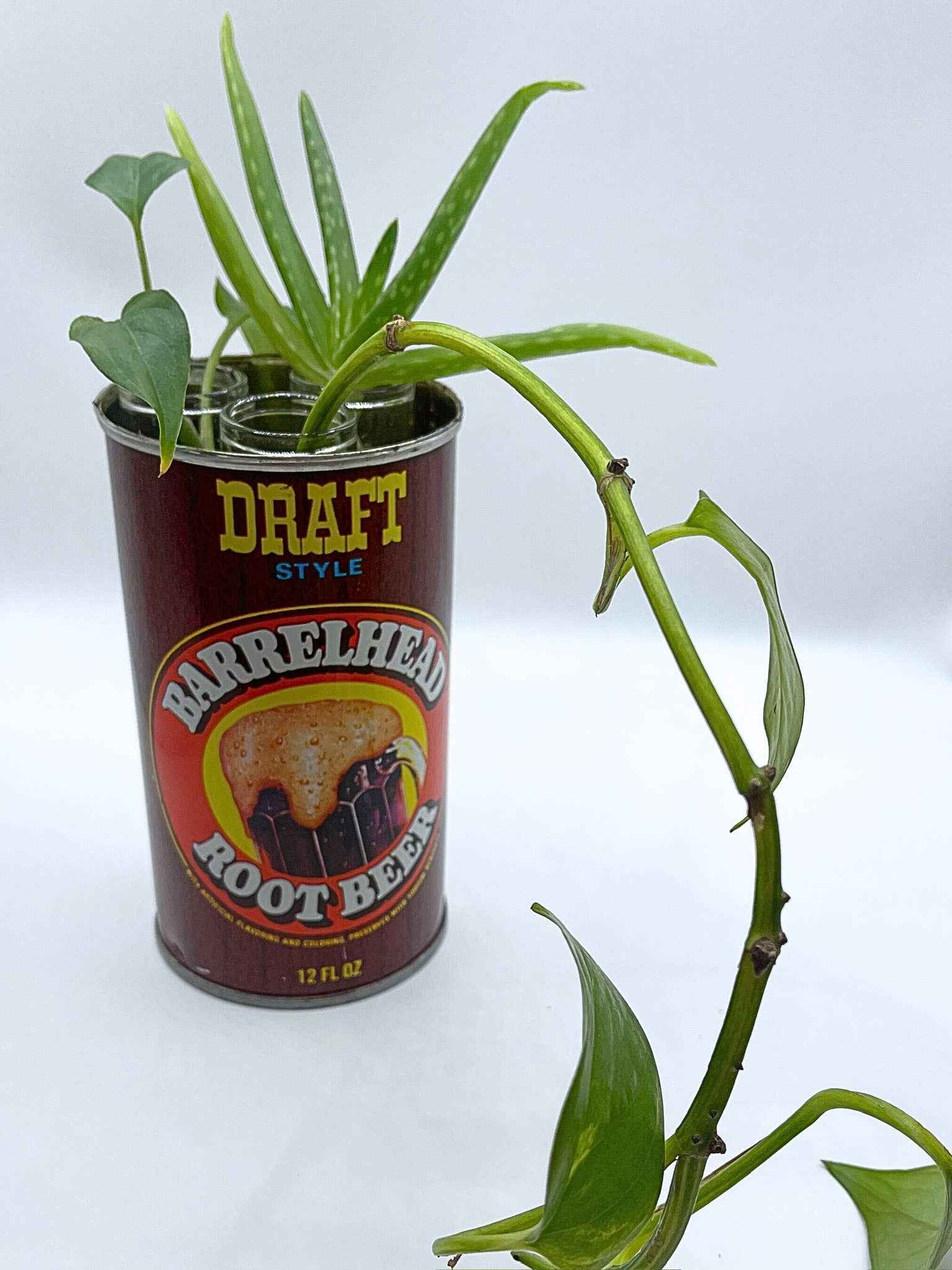 Plant Propagation Station/Bud Vase in a Vintage Can