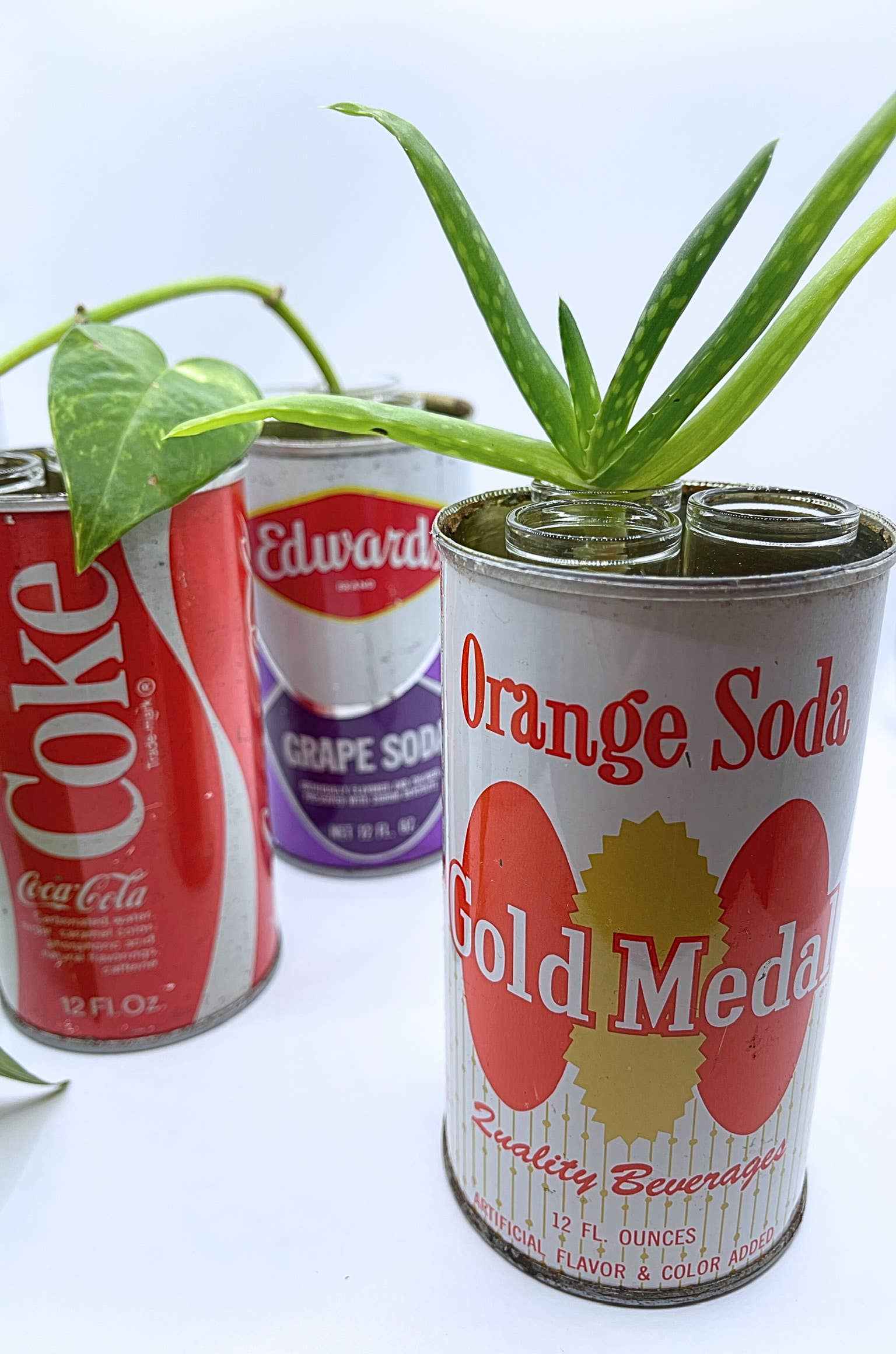 Plant Propagation Station/Bud Vase in a Vintage Can