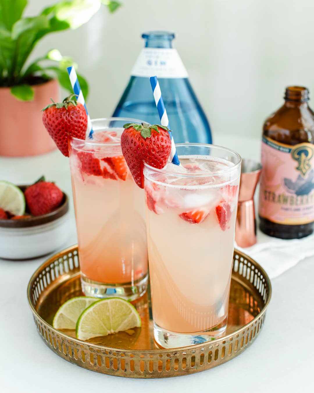 Strawberry Lemon Lime Syrup 3.4oz  - cocktail / mocktail mix