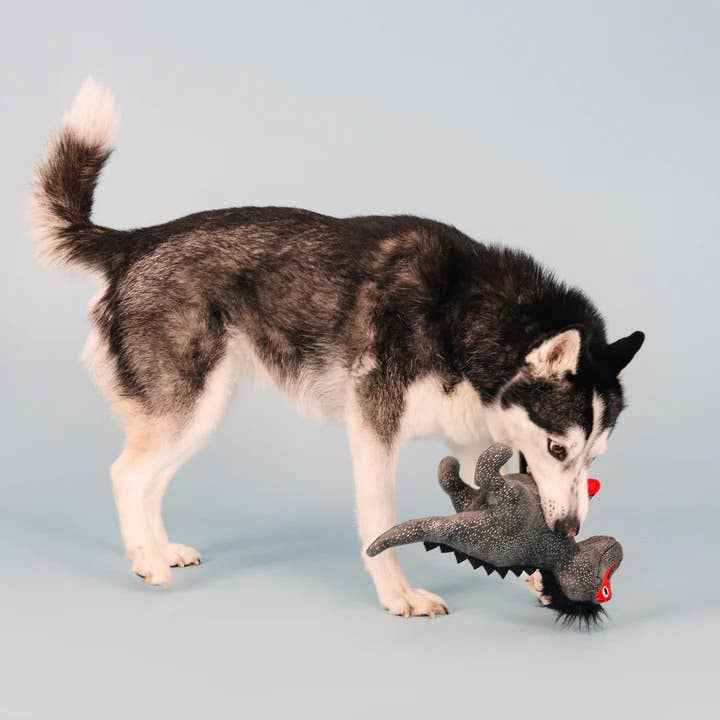 PetShop by Fringe Studio Rocker Rex Plush Dog Toy