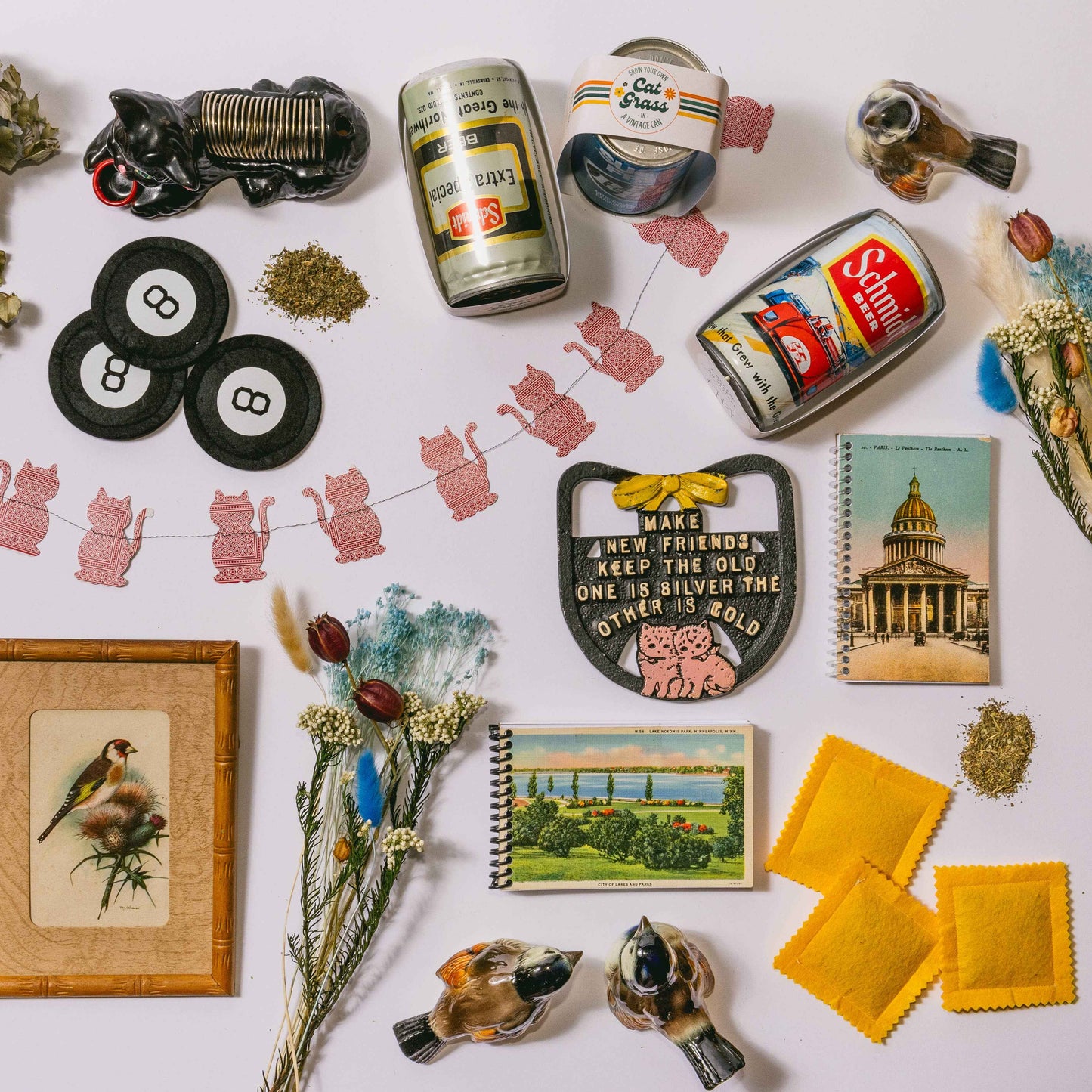 Cat Grass -In- A Vintage Can